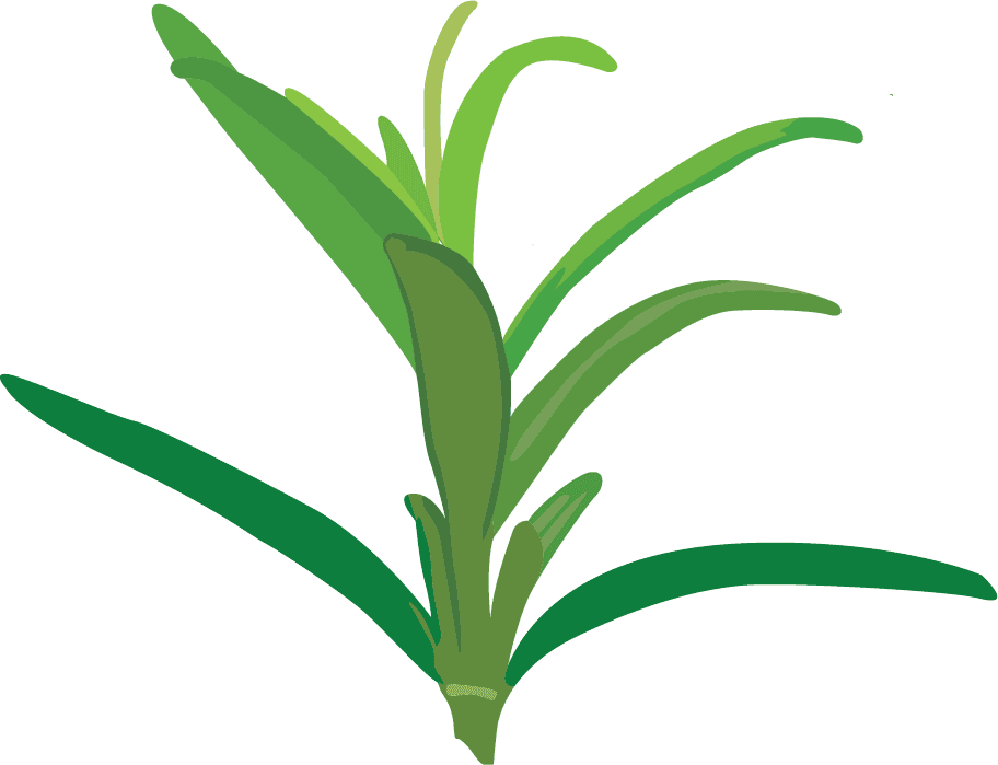Kurstilbud