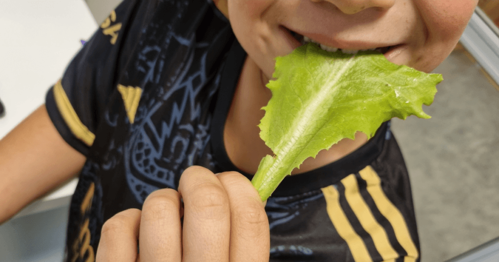 Små rammer - stor matglede på Singsås SFO