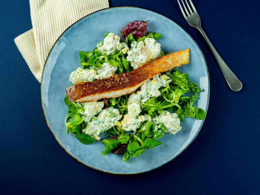 Ørret med potetsalat